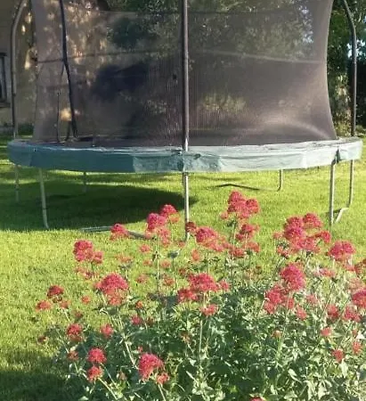 Le Des Trotteurs - Vue - Calme - équestre Roiville