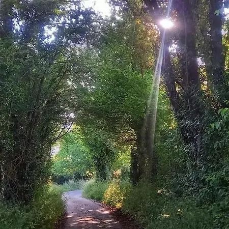 Le Des Trotteurs - Vue - Calme - Equestre Prázdninový dům Roiville