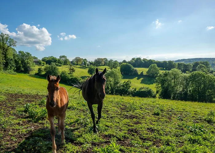 Le Des Trotteurs - Vue - Calme - Equestre * Roiville