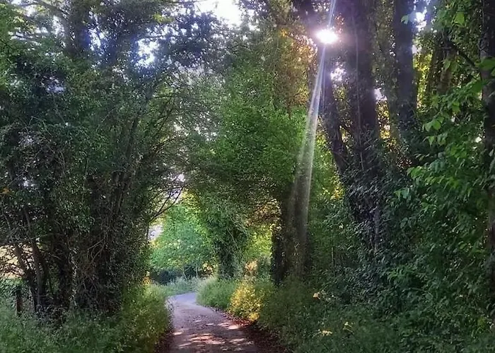 Le Des Trotteurs - Vue - Calme - Equestre 度假居 Roiville