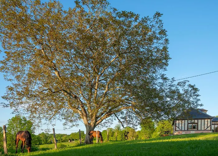 Feriehus Le Des Trotteurs - Vue - Calme - Equestre